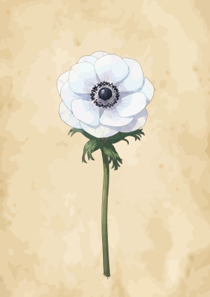 Witte bloem