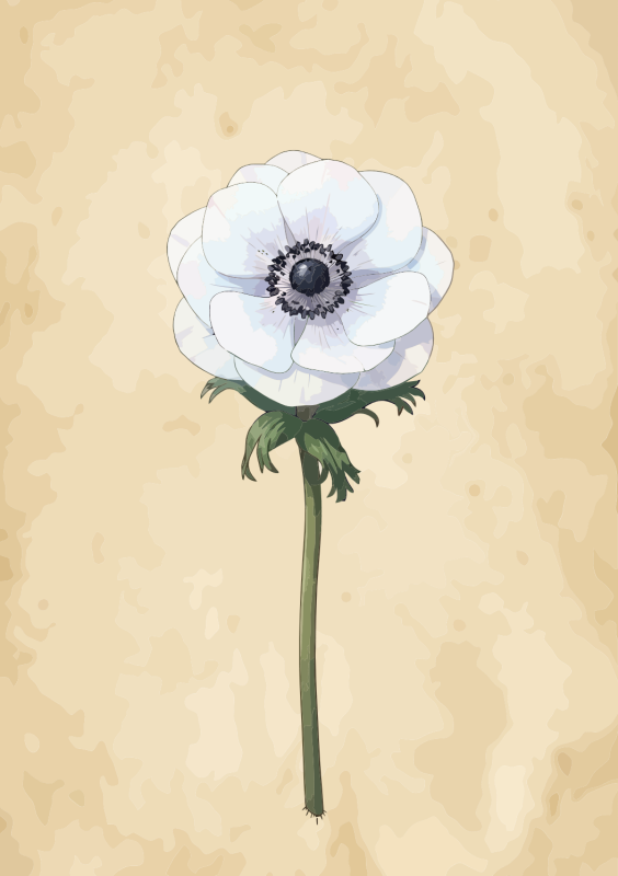 Witte bloem