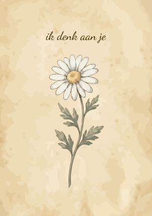 Madelief bloem met ik denk aan je tekst