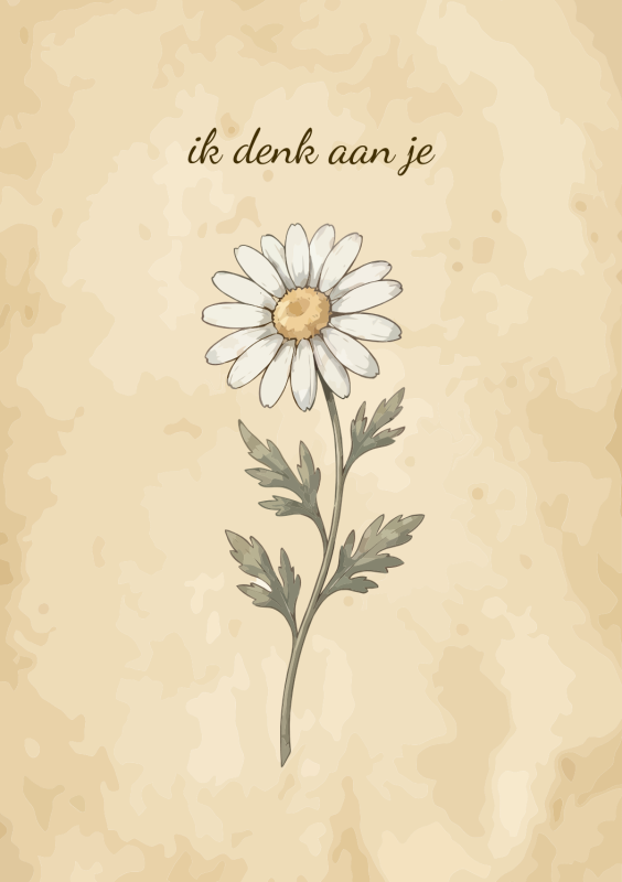Madelief bloem met ik denk aan je tekst