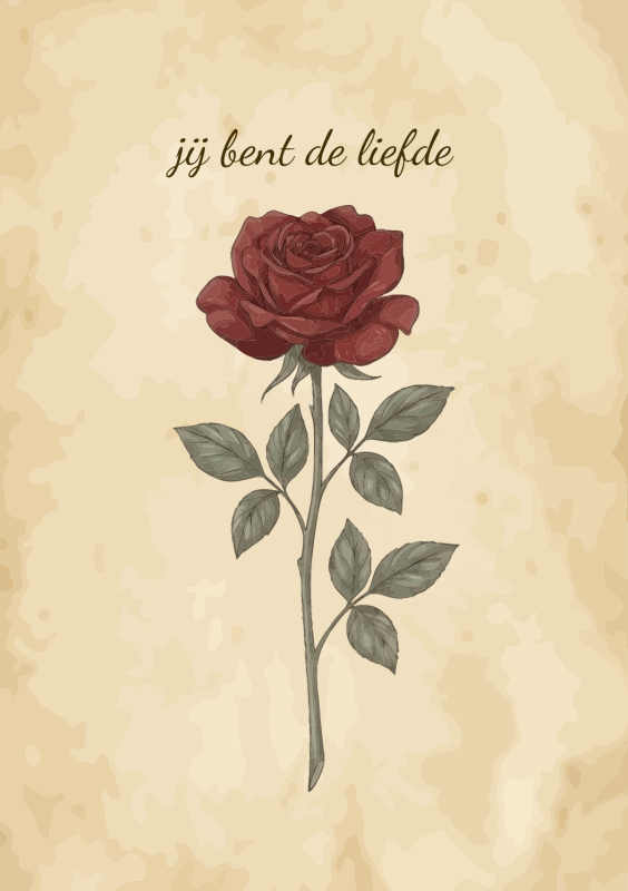 Rode roos bloem met jij bent de liefde tekst