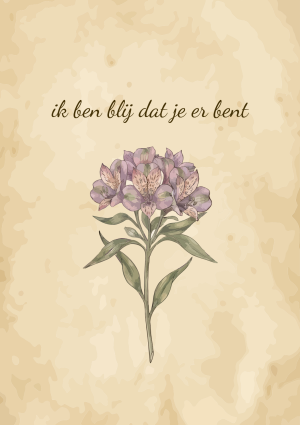 Alstromeria bloem met ik ben blij dat je er bent tekst