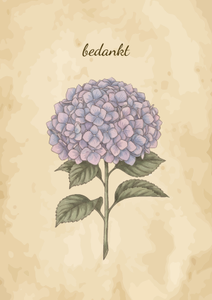 Hortensia bloem met bedankt tekst