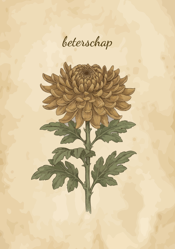 Chrysant bloem met beterschap tekst