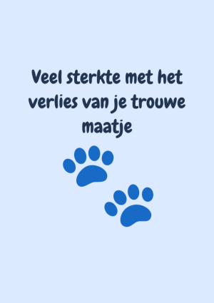 Veel sterkte met het verlies van je trouwe maatje