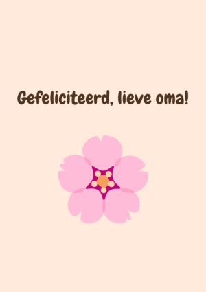 Gefeliciteerd, lieve oma