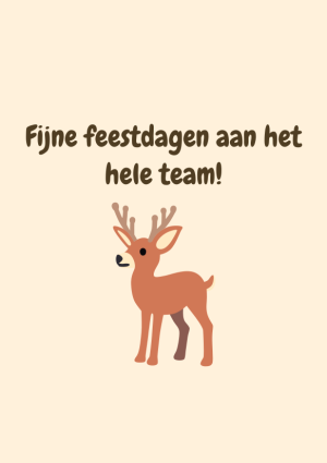 Fijne feestdagen aan het hele team